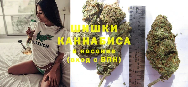 круглые Аркадак