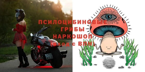 ECSTASY Баксан