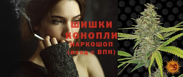 прущие грибы Арсеньев