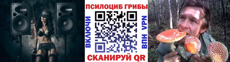 Псилоцибиновые грибы Psilocybe  Славск 